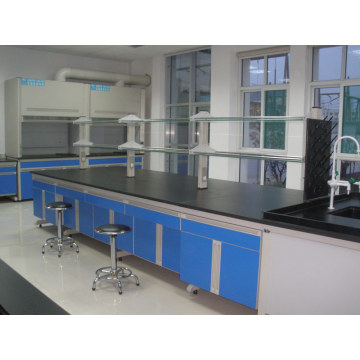 Laboratory Furniture/Lab Work Bench/School Furniture